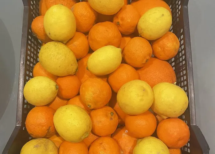公寓 La Garrofera Aldover